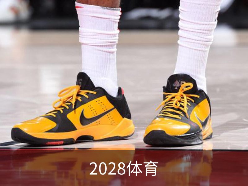 2028体育概况